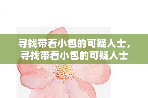 寻找带着小包的可疑人士，寻找带着小包的可疑人士