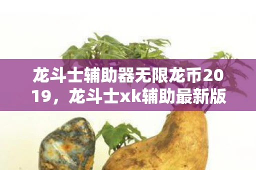 龙斗士辅助器无限龙币2019，龙斗士xk辅助最新版，提升游戏体验的必备神器