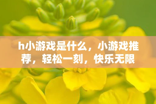 h小游戏是什么，小游戏推荐，轻松一刻，快乐无限