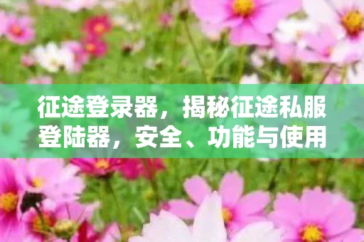 征途登录器，揭秘征途私服登陆器，安全、功能与使用指南