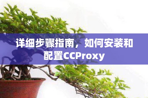 如何安装和配置CCProxy图片