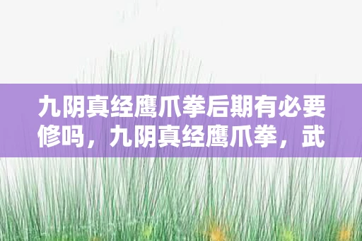 九阴真经鹰爪拳后期有必要修吗，九阴真经鹰爪拳，武侠世界中的绝世武技