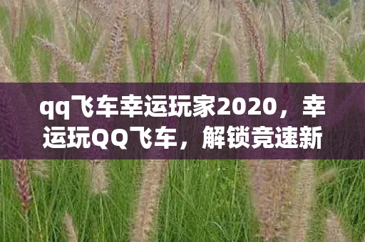 qq飞车幸运玩家2020，幸运玩QQ飞车，解锁竞速新境界