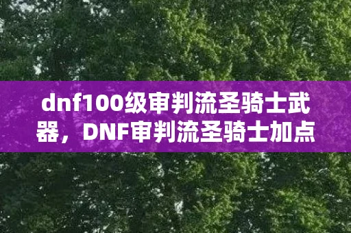 dnf100级审判流圣骑士武器，DNF审判流圣骑士加点详解，打造最强辅助神职者