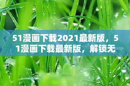 51漫画下载2021最新版，51漫画下载最新版，解锁无限漫画世界的钥匙