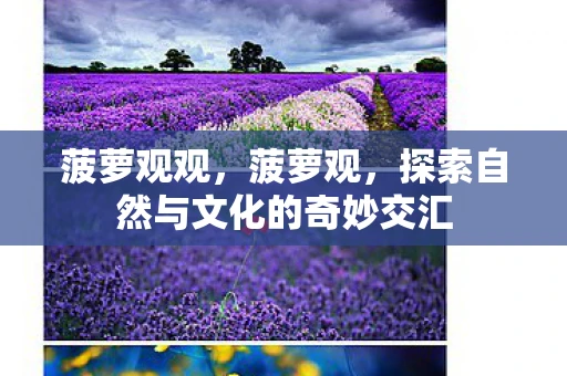 菠萝观观,菠萝观,探索自然与文化的奇妙交汇 菠萝观观,菠萝观,探索自然与文化的奇妙交汇