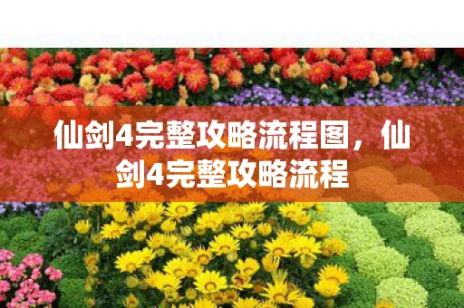 仙剑4完整攻略流程图，仙剑4完整攻略流程