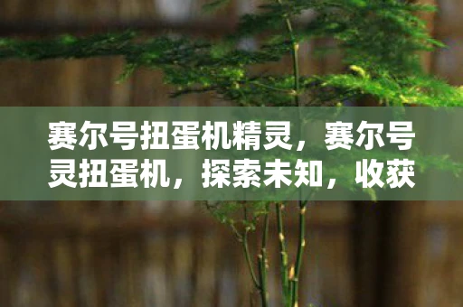 赛尔号扭蛋机精灵,赛尔号灵扭蛋机,探索未知,收获惊喜 赛尔号扭蛋机精灵,赛尔号灵扭蛋机,探索未知,收获惊喜