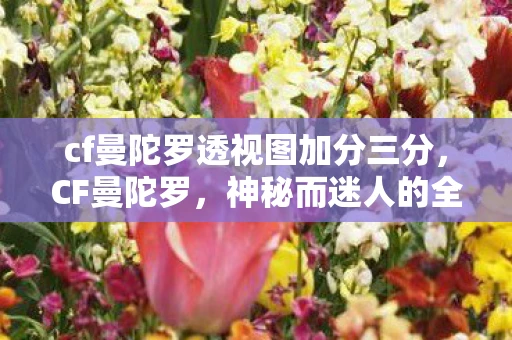 cf曼陀罗透视图加分三分，CF曼陀罗，神秘而迷人的全身透视解析