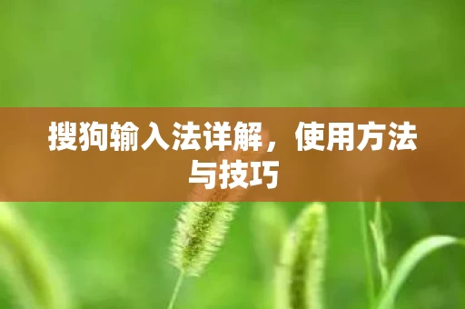 搜狗输入法详解图片