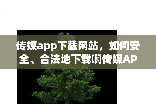 传媒app下载网站,如何安全、合法地下载啊传媒APP 传媒app下载网站,如何安全、合法地下载啊传媒APP