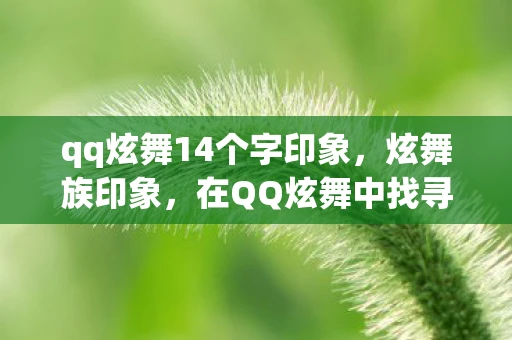 qq炫舞14个字印象，炫舞族印象，在QQ炫舞中找寻自我与快乐