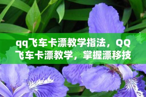qq飞车卡漂教学指法，QQ飞车卡漂教学，掌握漂移技巧，提升赛车速度