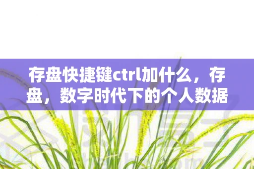 存盘快捷键ctrl加什么,存盘,数字时代下的个人数据保护与隐私管理 存盘快捷键ctrl加什么,存盘,数字时代下的个人数据保护与隐私管理