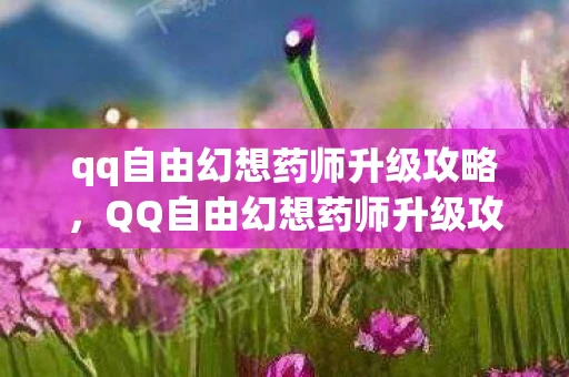qq自由幻想药师升级攻略，QQ自由幻想药师升级攻略，从新手到高手的进阶之路