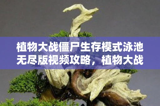 植物大战僵尸生存模式泳池无尽版视频攻略，植物大战僵尸生存模式泳池无尽版攻略