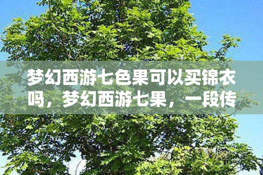 梦幻西游七色果可以买锦衣吗，梦幻西游七果，一段传奇的冒险之旅