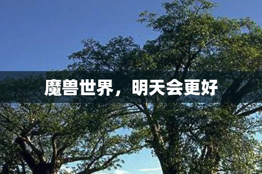 魔兽世界，明天会更好