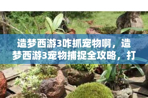 造梦西游3咋抓宠物啊，造梦西游3宠物捕捉全攻略，打造你的专属萌宠