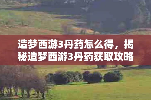 造梦西游3丹药怎么得，揭秘造梦西游3丹药获取攻略，助你轻松提升战力