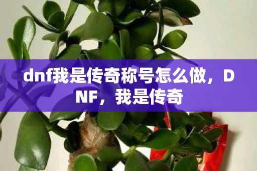 dnf我是传奇称号怎么做，DNF，我是传奇