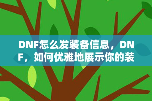 DNF怎么发装备信息，DNF，如何优雅地展示你的装备？