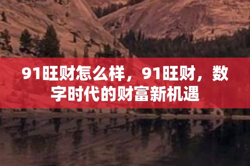 91旺财怎么样，91旺财，数字时代的财富新机遇