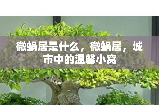微蜗居是什么，微蜗居，城市中的温馨小窝
