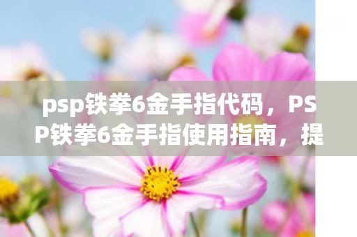 psp铁拳6金手指代码，PSP铁拳6金手指使用指南，提升游戏体验的秘籍