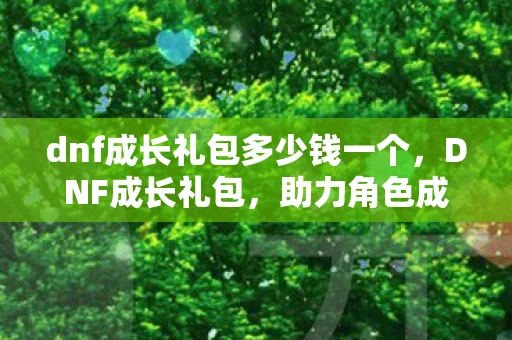 dnf成长礼包多少钱一个，DNF成长礼包，助力角色成长，打造顶级战力