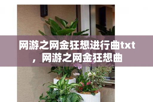 网游之网金狂想进行曲txt，网游之网金狂想曲