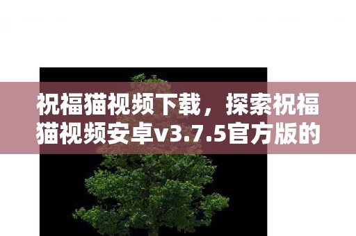 探索祝福猫视频安卓v3图片