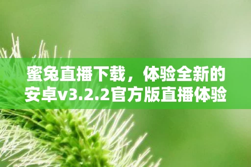 体验全新的安卓v3图片