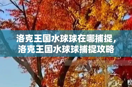 洛克王国水球球在哪捕捉，洛克王国水球球捕捉攻略
