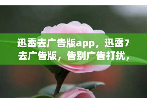 迅雷去广告版app,迅雷7去广告版,告别广告打扰,享受纯净下载体验 迅雷去广告版app,迅雷7去广告版,告别广告打扰,享受纯净下载体验