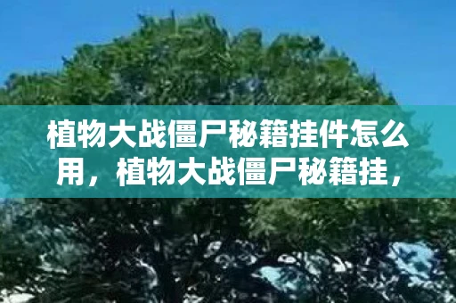 植物大战僵尸秘籍挂件怎么用，植物大战僵尸秘籍挂，解锁游戏隐藏功能的秘密