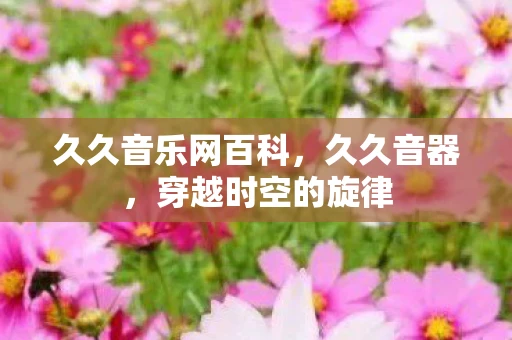 久久音乐网百科，久久音器，穿越时空的旋律