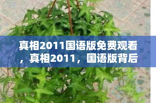 真相2011国语版免费观看，真相2011，国语版背后的故事