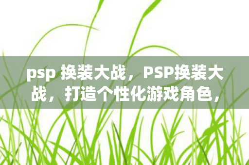 psp 换装大战，PSP换装大战，打造个性化游戏角色，开启无限创意之旅