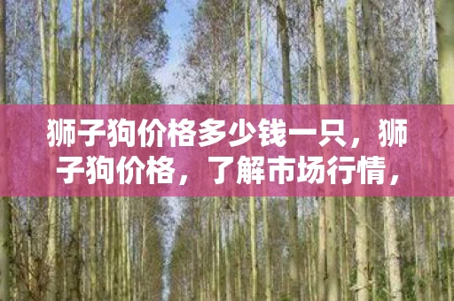 狮子狗价格多少钱一只，狮子狗价格，了解市场行情，选择适合自己的宠物