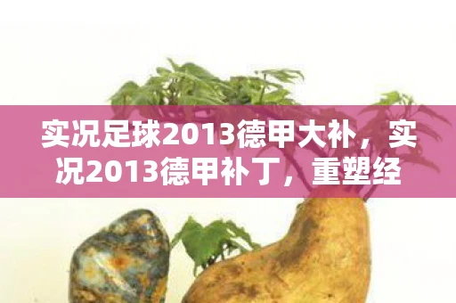 实况足球2013德甲大补，实况2013德甲补丁，重塑经典，再现辉煌