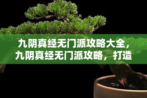 九阴真经无门派攻略大全，九阴真经无门派攻略，打造独一无二的高手之路