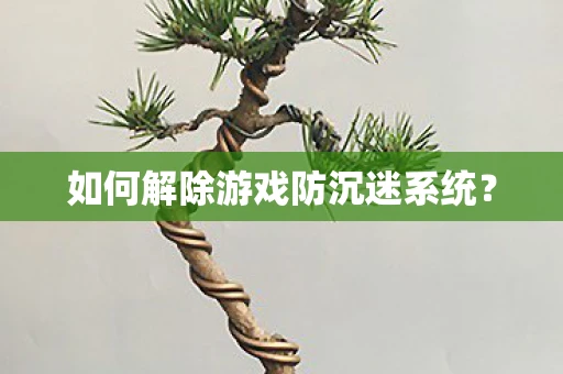 如何解除游戏防沉迷系统？