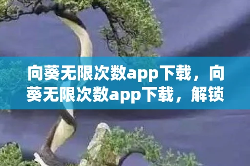 向葵无限次数app下载，向葵无限次数app下载，解锁数字时代新体验