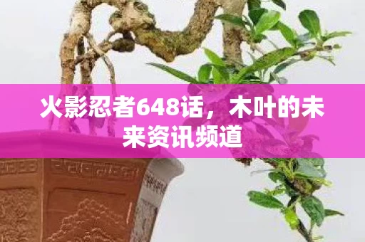 木叶的未来资讯频道图片