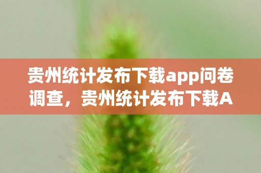 贵州统计发布下载app问卷调查，贵州统计发布下载APP，数据时代的便民新举措