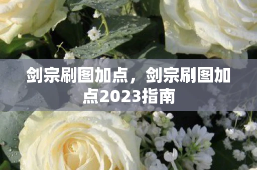剑宗刷图加点，剑宗刷图加点2023指南