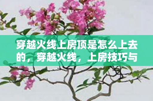 穿越火线上房顶是怎么上去的，穿越火线，上房技巧与战术解析