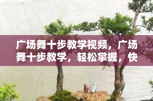 广场舞十步教学视频，广场舞十步教学，轻松掌握，快乐起舞