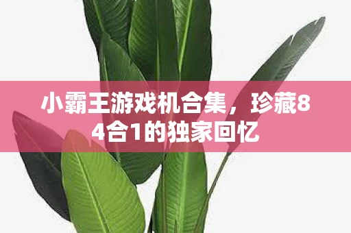 珍藏84合1的独家回忆图片
